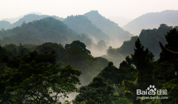 怎样安排自己的都江堰、青城山自助两日游？