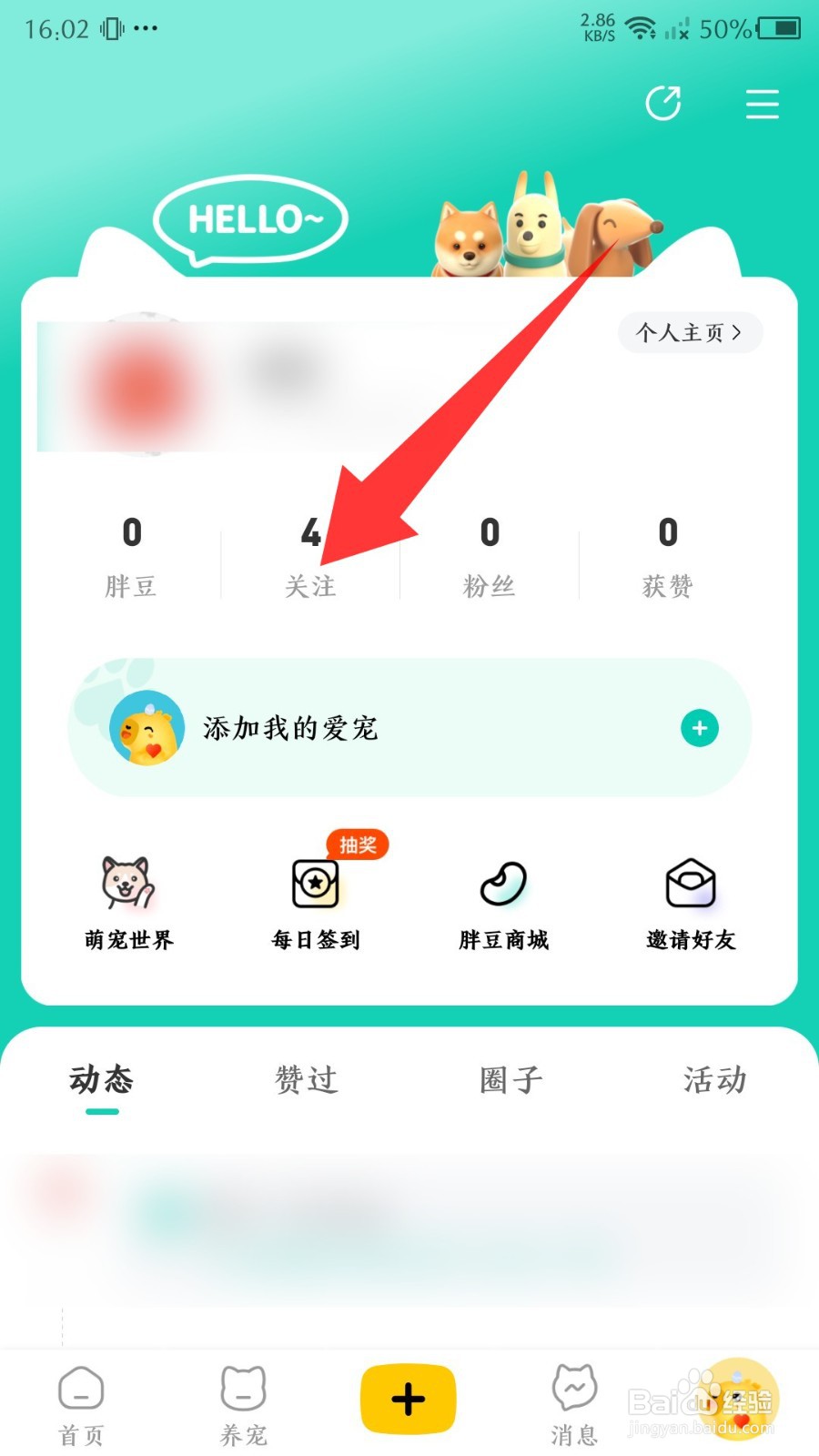 宠胖胖怎么取消关注