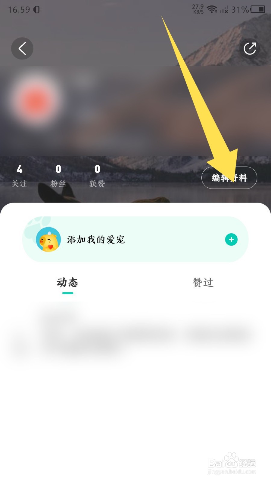 宠胖胖app如何修改昵称