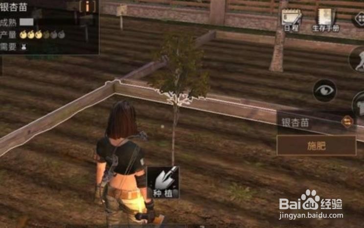 明日之后树油怎么获得