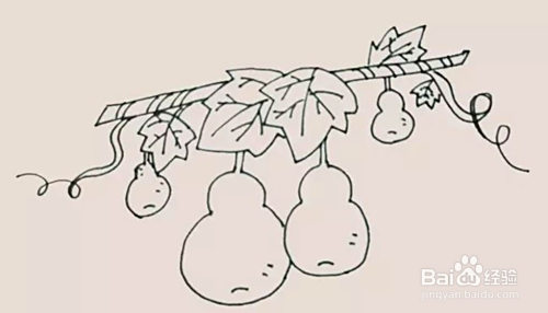 画好了小叶子,再加一些小葫芦在周围吧!