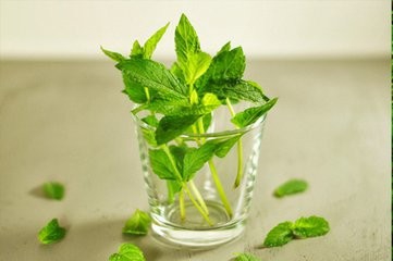 如何应对夏天身上长小豆豆怎么办