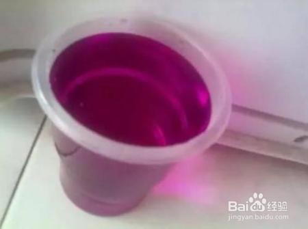 就这么做,让你家发财树叶绿枝粗,从此告别烂根!