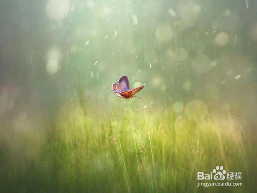 安逸,对于年轻的你来说,与毒药何异?