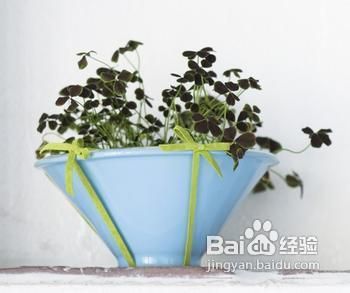 营销中的品牌形象策划