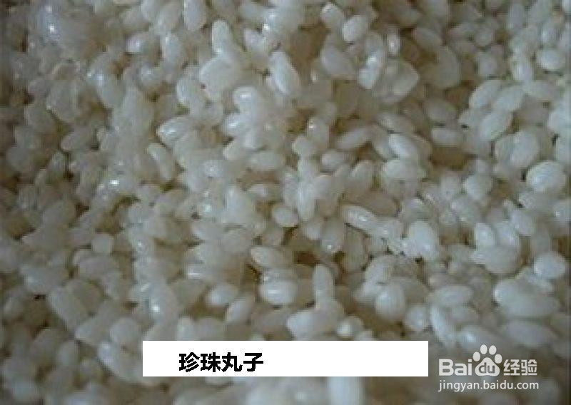 珍珠丸子的做法