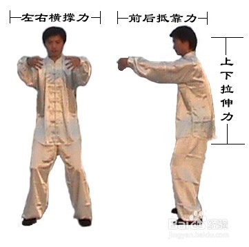 武术各种站桩功