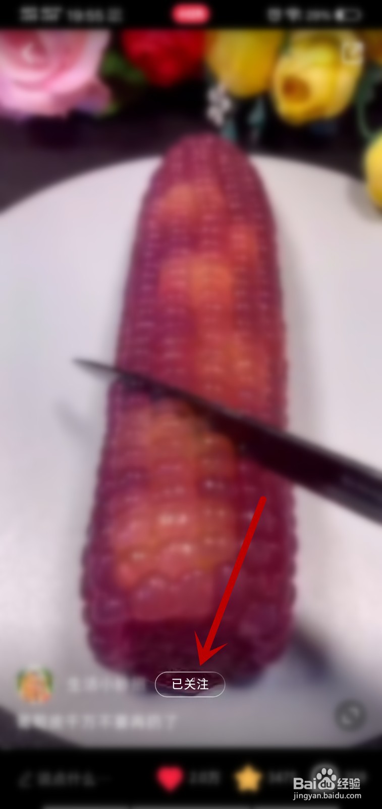 小红书怎么关注喜欢的视频作者