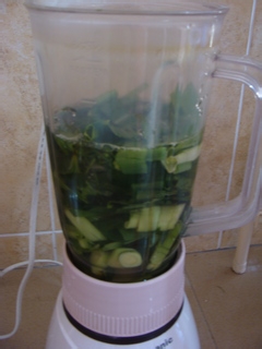 养生马草汁制作方法