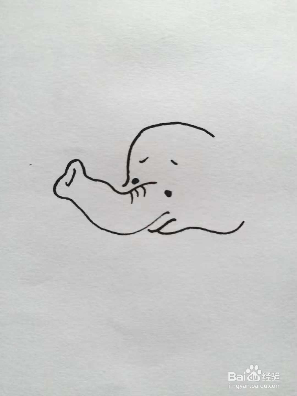 象的简笔画法《一》