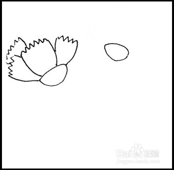 怎样画简笔画（花卉）：[10]康乃馨