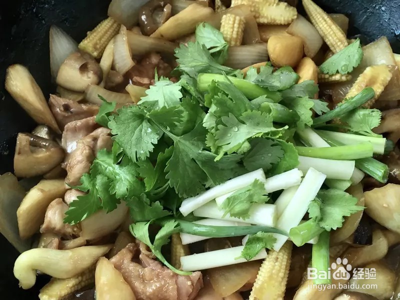 怎样做出家常菜系列之什锦蔬酱烧鸡