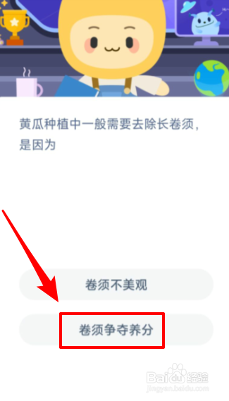 黄瓜种植为什么要去除长卷须《蚂蚁新村》答案