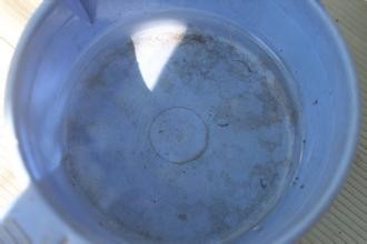 如何在家除蚊子