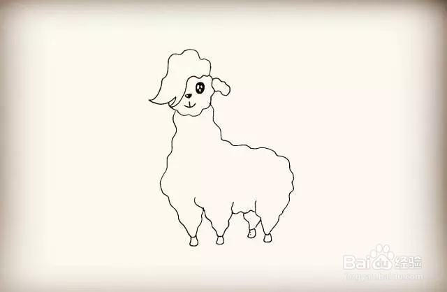 动物系列-羊驼简笔画怎么画？