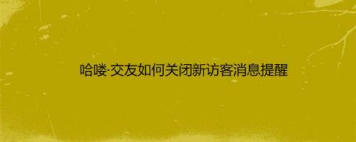 哈喽·交友如何关闭新访客消息提醒