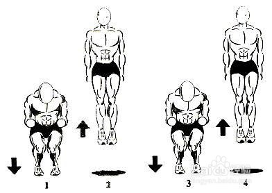 篮球篮板球技巧及跳跃力练习
