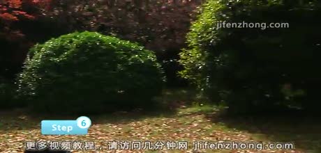 怎样选择露营地点