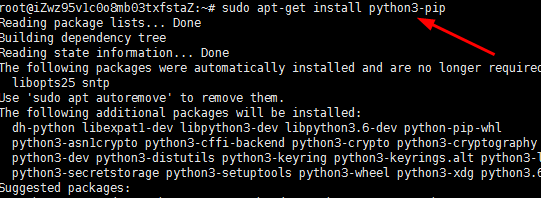 Ubuntu服务器安装Nginx及python3虚拟环境