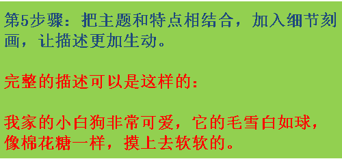 小狗的毛怎么形容
