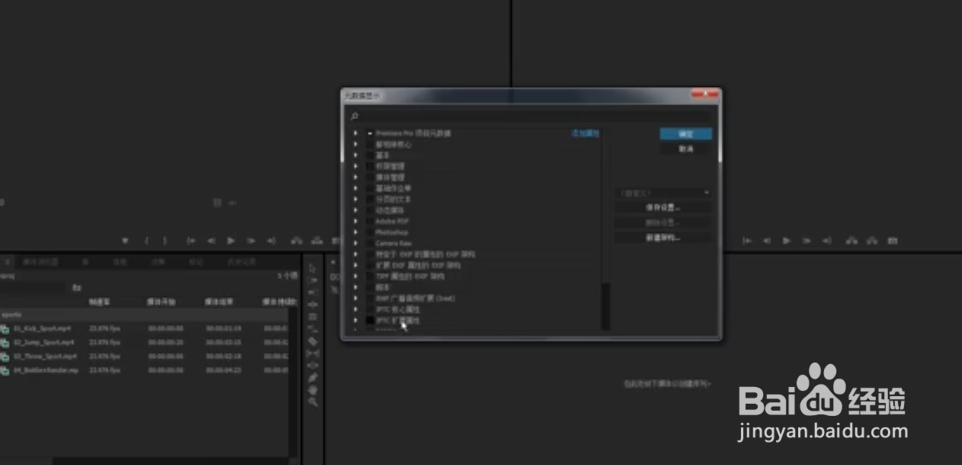 如何使用premiere对项目面板深入和解释素材