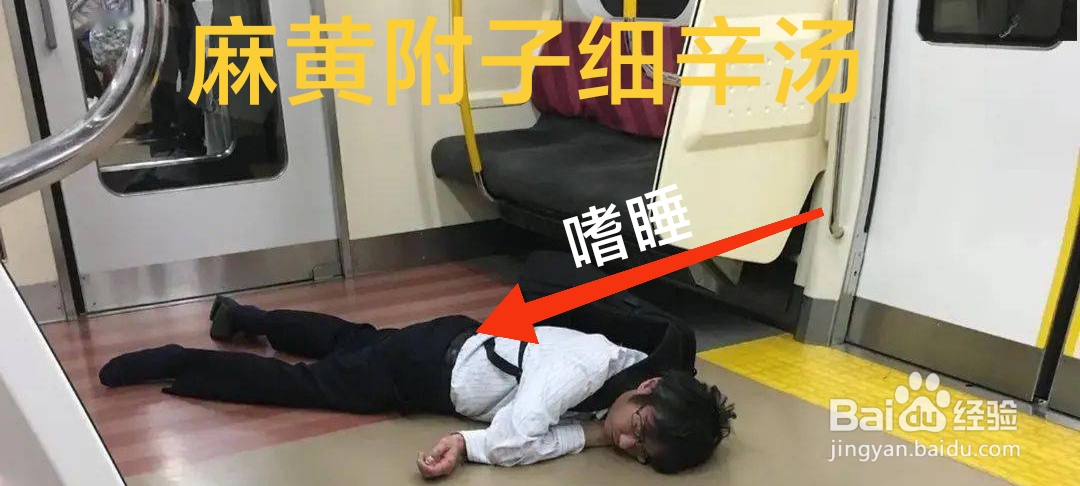 麻黄附子细辛汤
