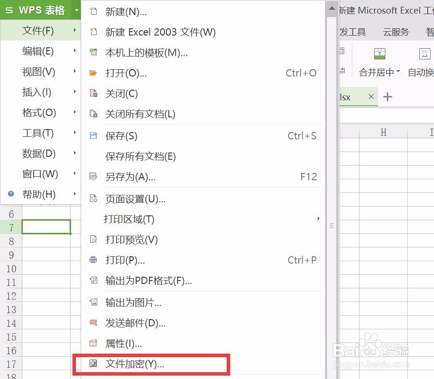 wps表格怎样设置密码