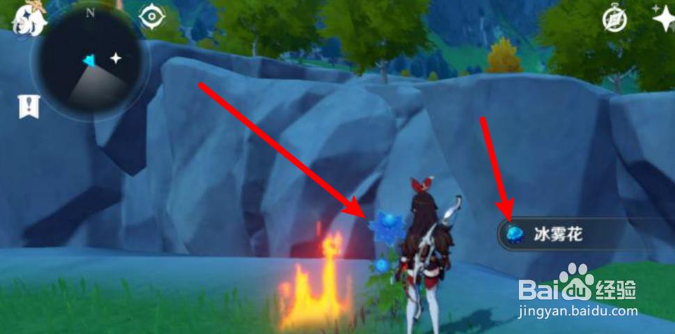 原神冰雾花怎么收集