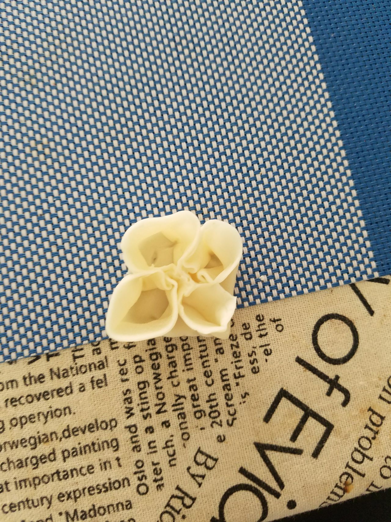 快手四喜饺子的做法，我教教你啊