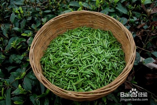 快速除甲醛的方法，让空气清新自然