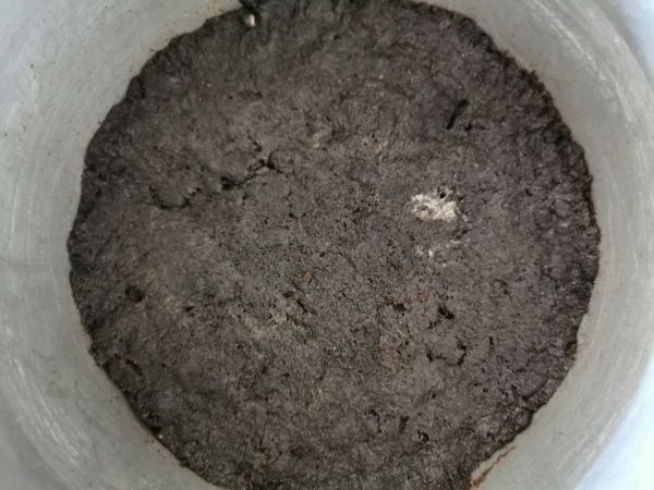 巧克力慕斯蛋糕