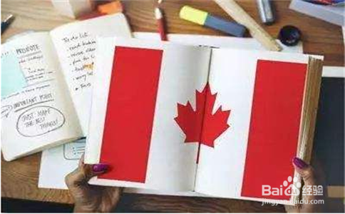 <b>加拿大生孩子办签证怎么才能提高通过率</b>