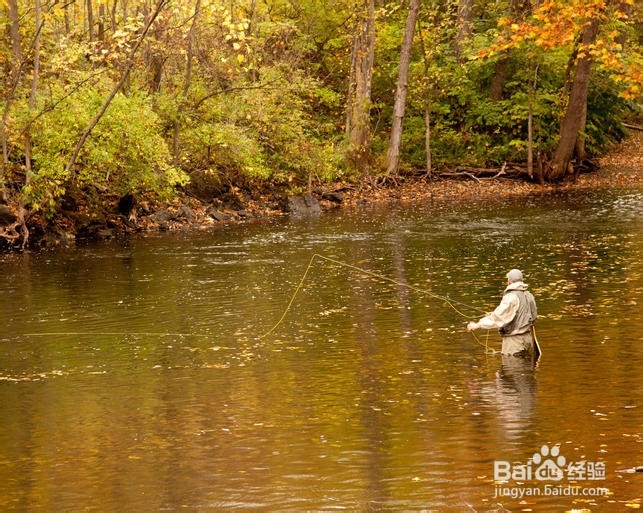 如何在水库钓鱼选窝