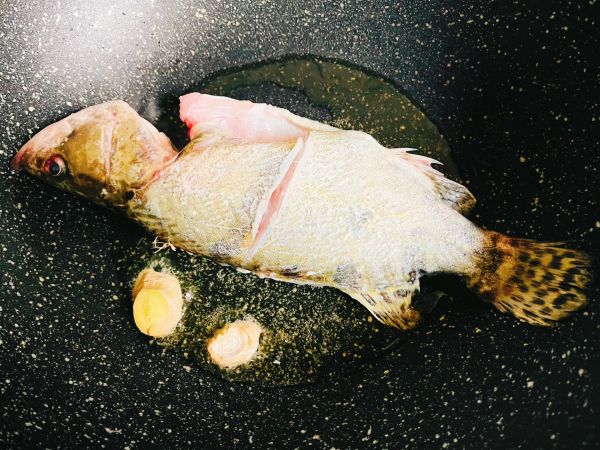 金龙鱼做沙司蒜片桂鱼