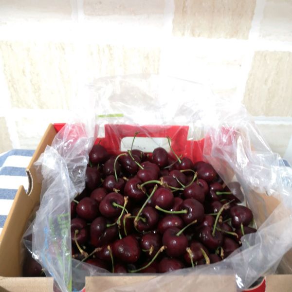 党参黄芪桂圆红枣枸杞鸭腿汤