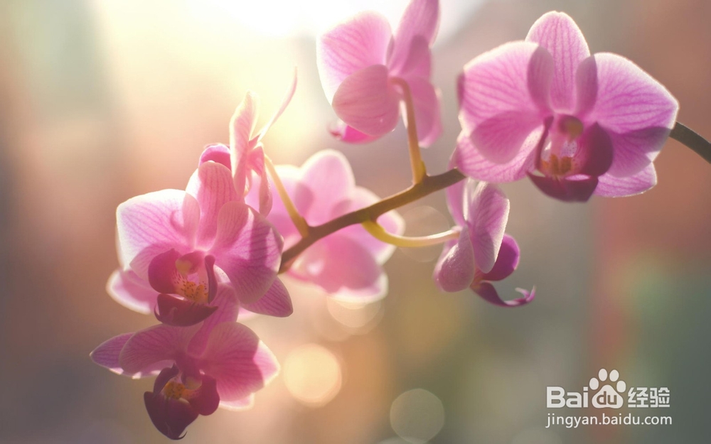 经济信息资源开发与利用：[24]复习总结二十四