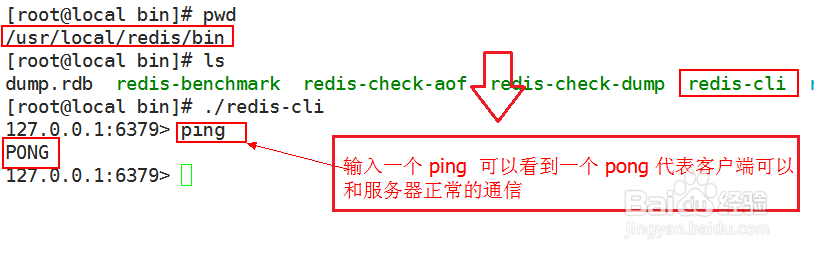 Linux启动和测试操作