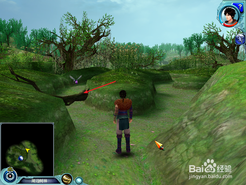 仙剑4攻略#巢湖湖边树林怎么走?（第6篇）
