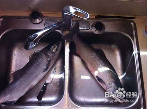 焖煎野生三文鱼