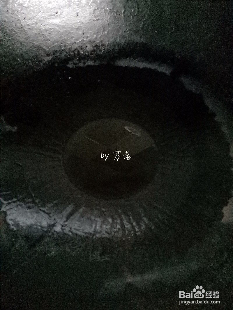 酱拌鱼腥草—清热解毒