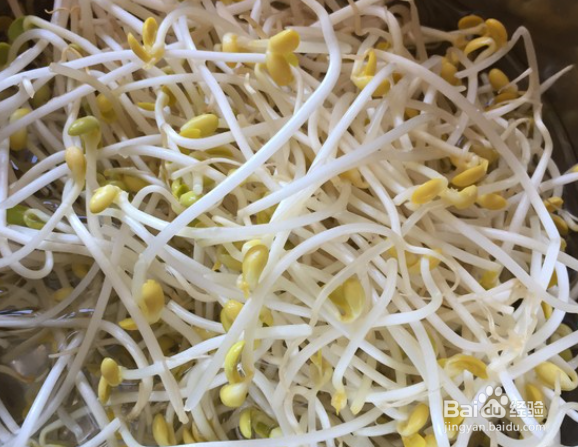 家常木耳炒豆芽