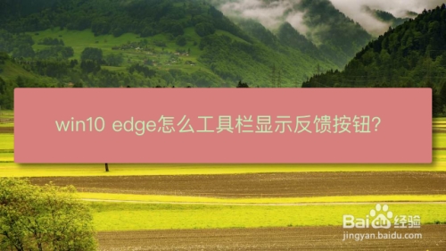 win10 edge怎么工具栏显示反馈按钮？