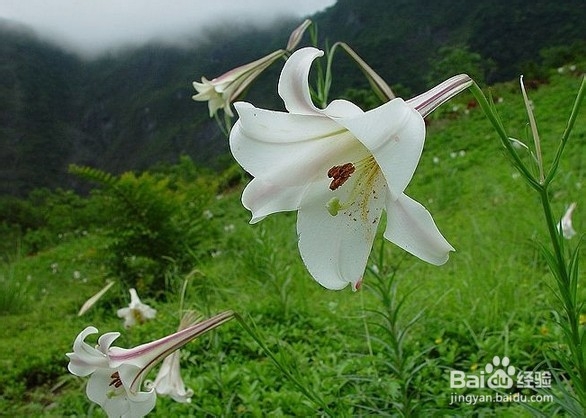 什么食物让您睡得更香