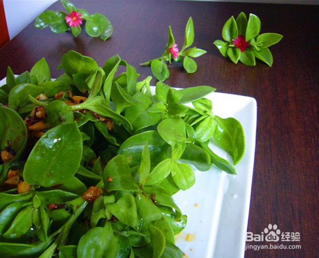 爽口凉菜——生拌穿心莲