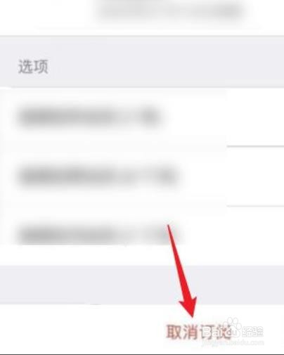 苹果手机怎么停止自动续费项目