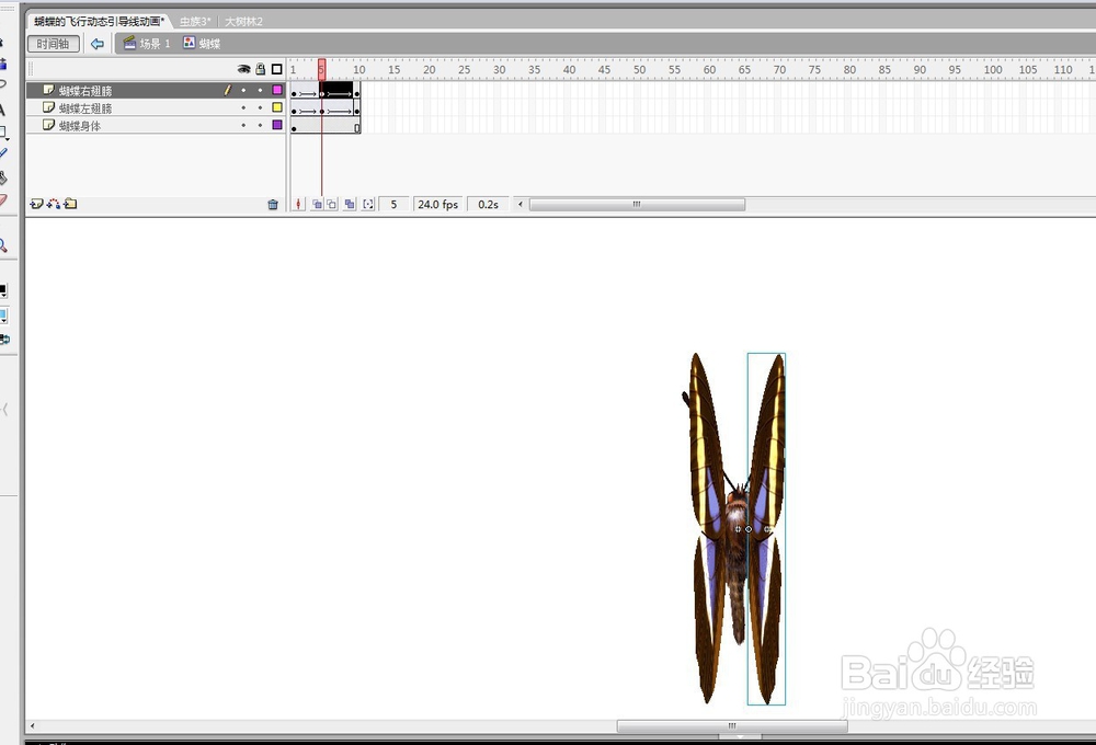 flash用蝴蝶做引导线动画的教程