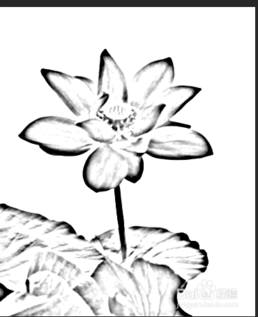 ps把照片变成素描效果