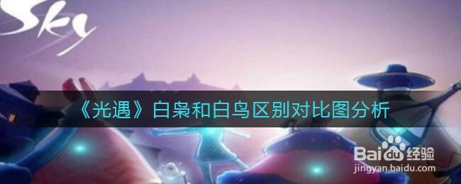 《光遇》白枭和白鸟区别对比图分析