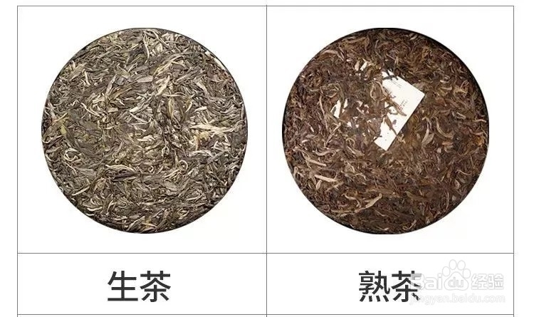 传匠茶号普洱学堂：怎么分辨生茶和熟茶