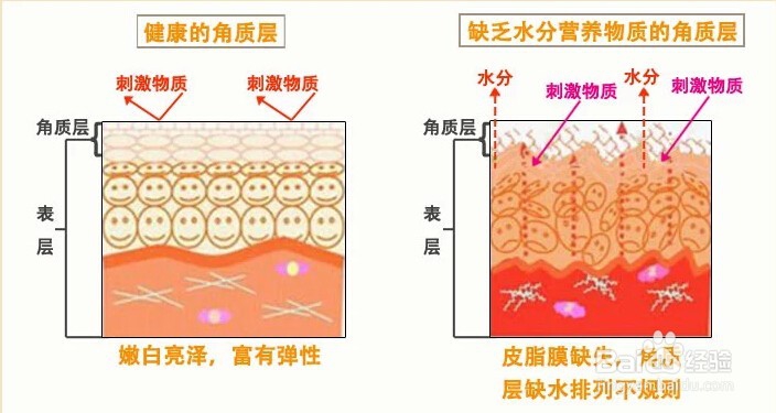 <b>麦麸皂可以去角质？您用过吗</b>